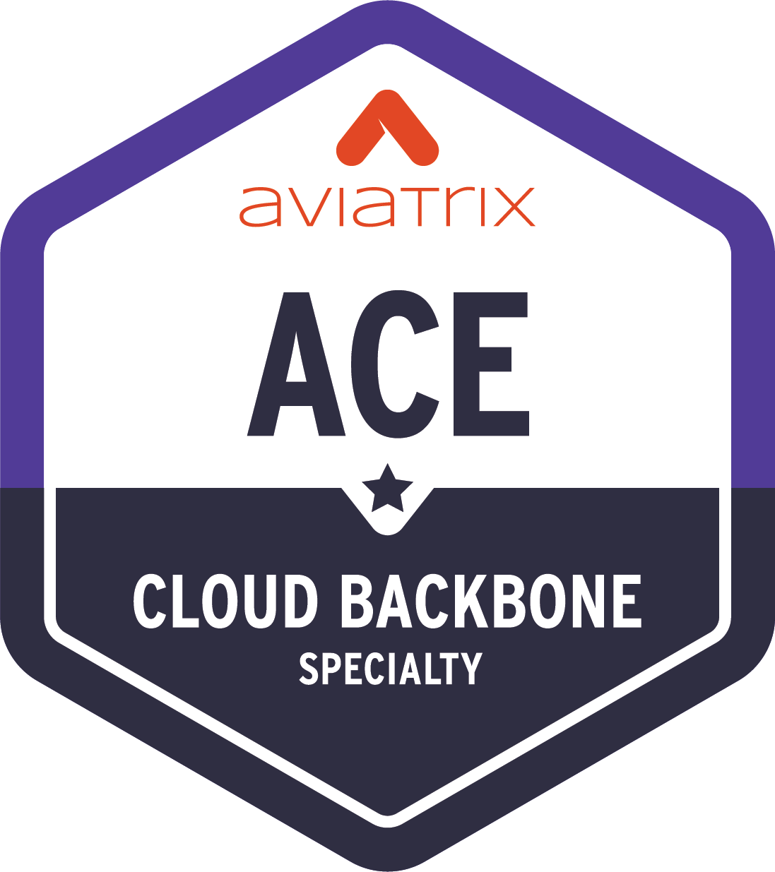 ACE_Cloud_Backbone.png